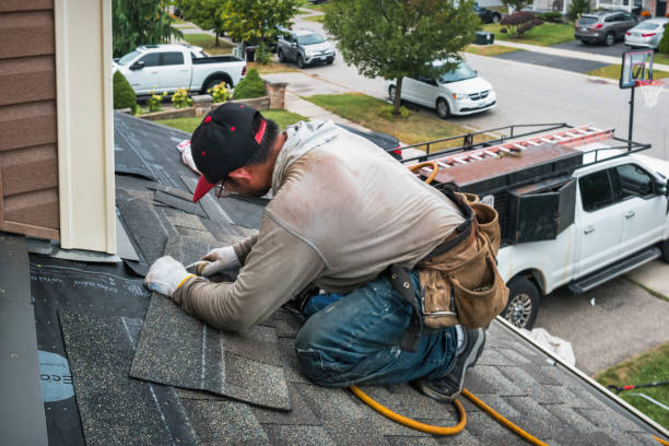 Professional Roofing technician working in Herman, MN
